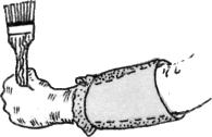 ��������� �������� [���������]